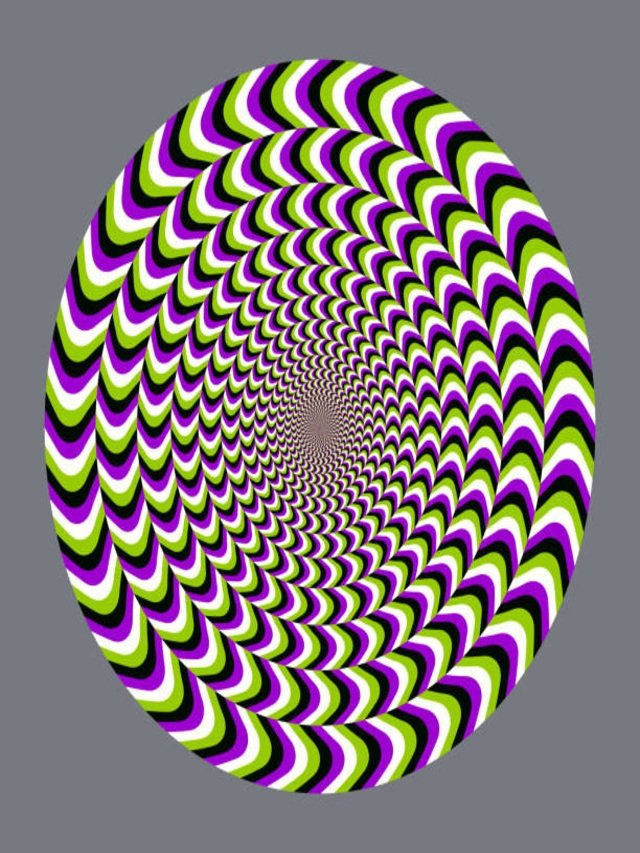 This amusing optical illusion tests your ability to concentrate! The cluster of related words conceals a word.